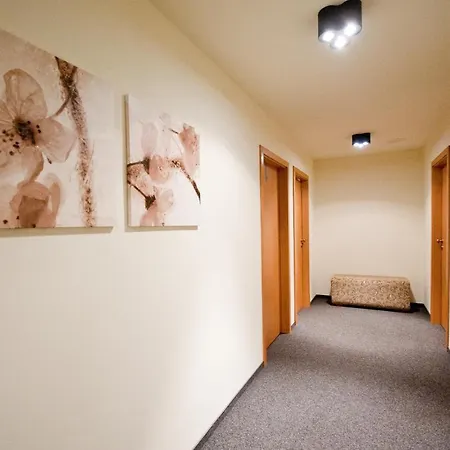 Cerny Havran Guest house